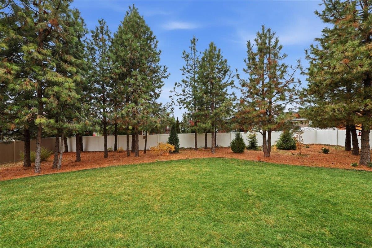 8107 N Jodi St - Photo 34