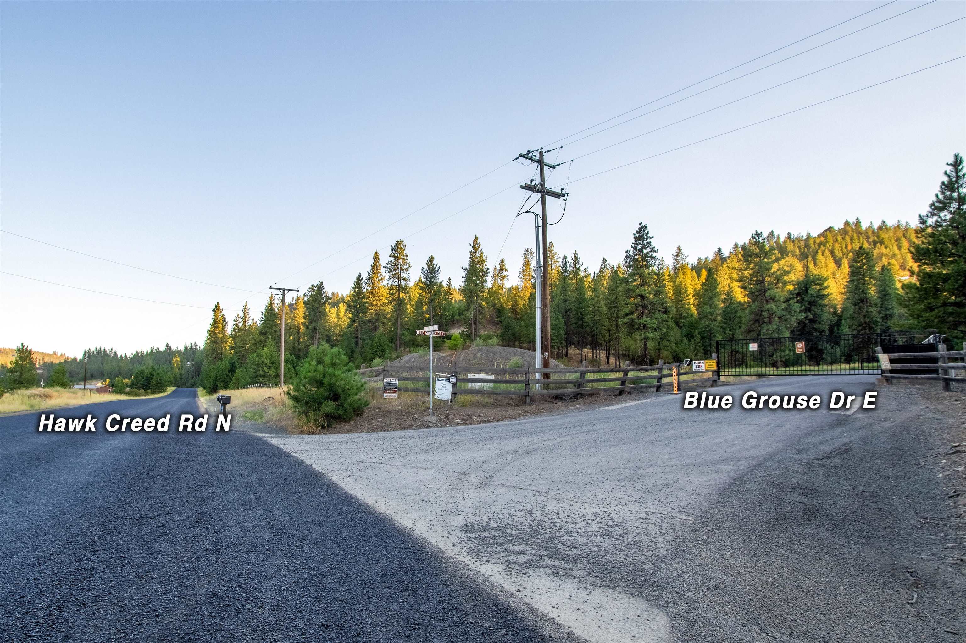 31635 E Ringneck Ln - Photo 14