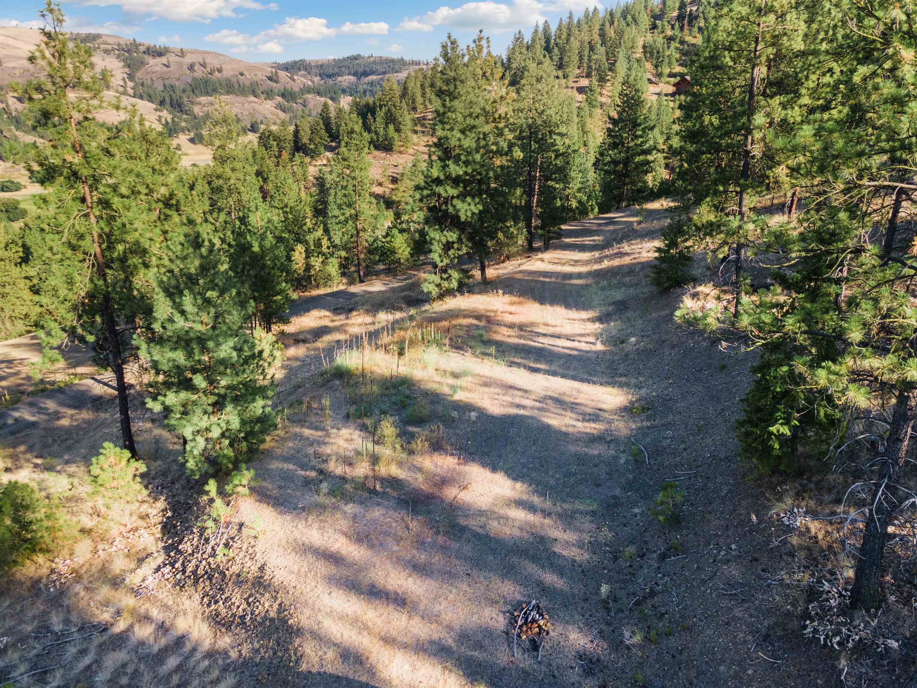 31635 E Ringneck Ln - Photo 6