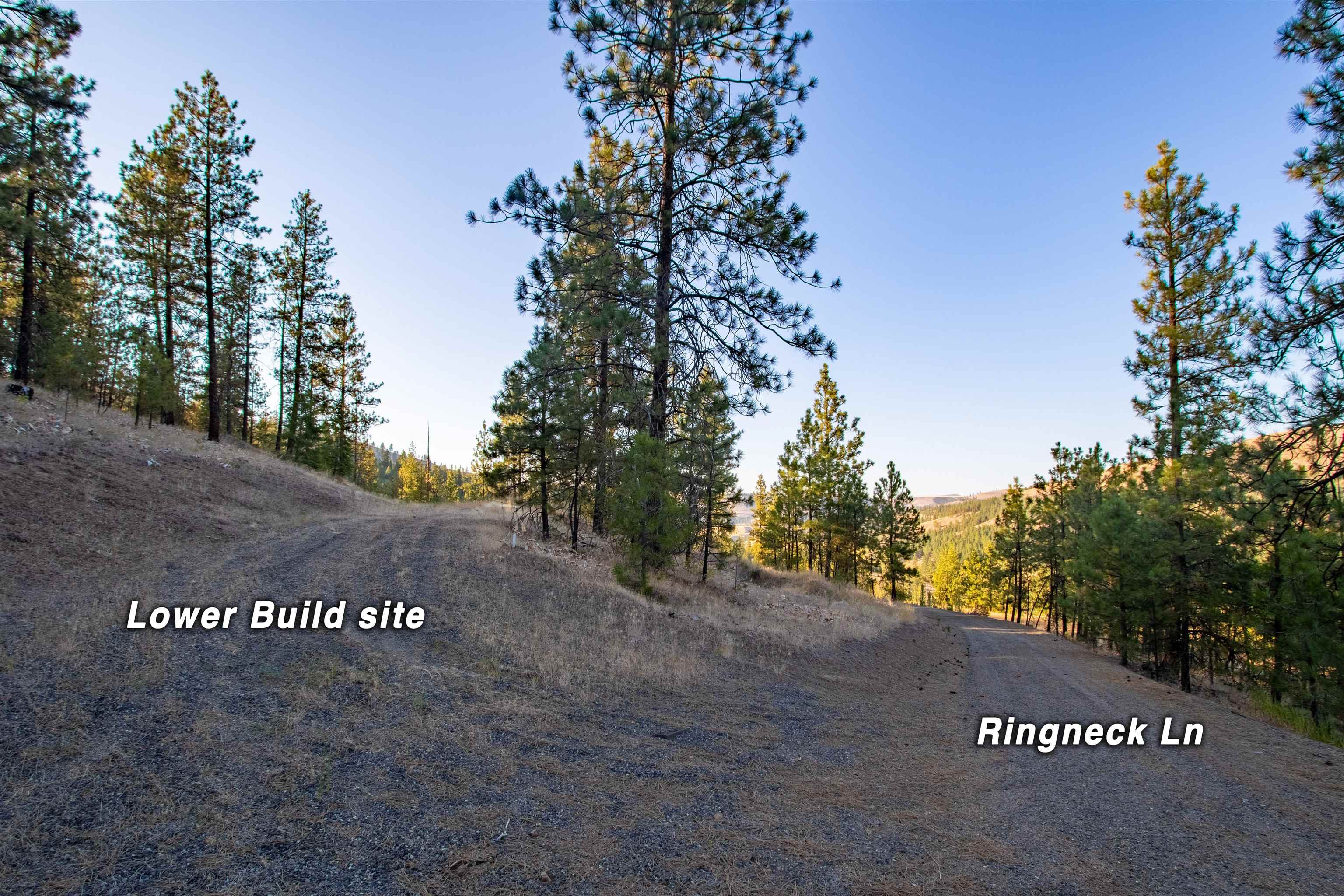 31635 E Ringneck Ln - Photo 9