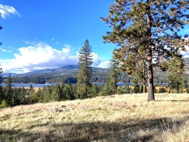 1353 Lake Roosevelt Way - Photo 2