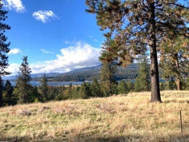1353 Lake Roosevelt Way - Photo 3