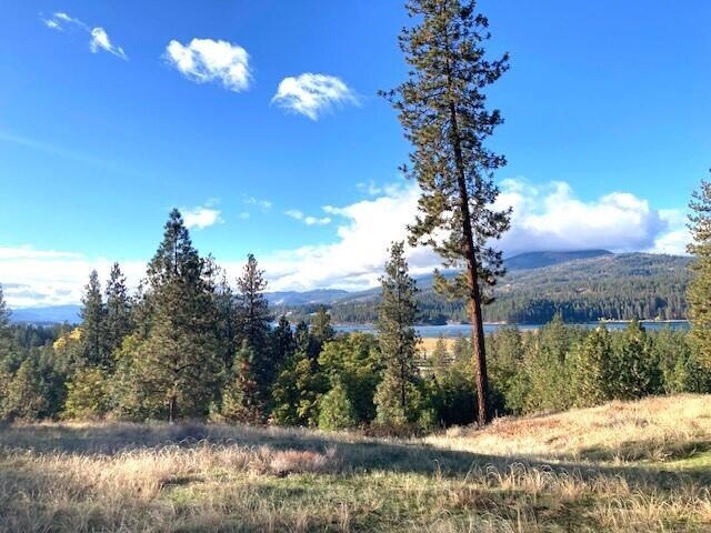1353 Lake Roosevelt Way - Photo 4