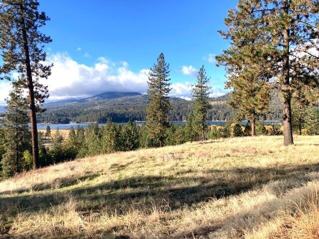 1353 Lake Roosevelt Way - Photo 5