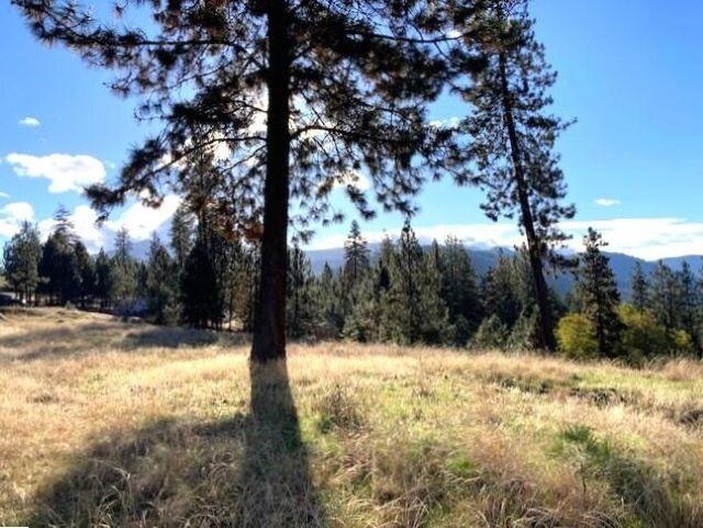 1353 Lake Roosevelt Way - Photo 10