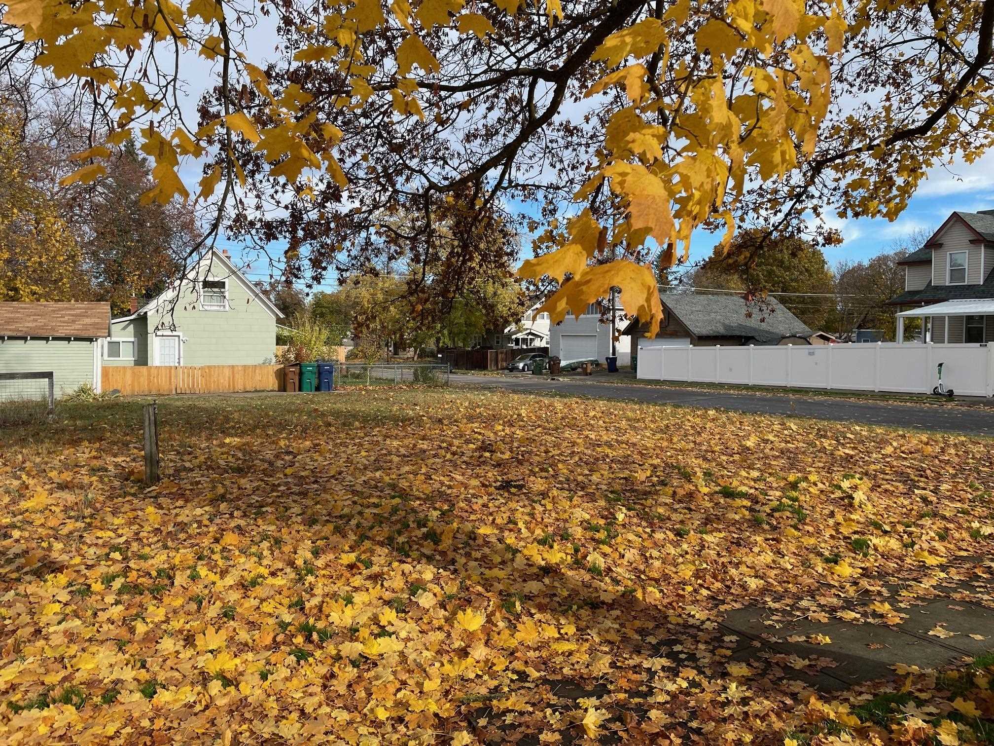 13XX W Spofford Ave - Photo 6