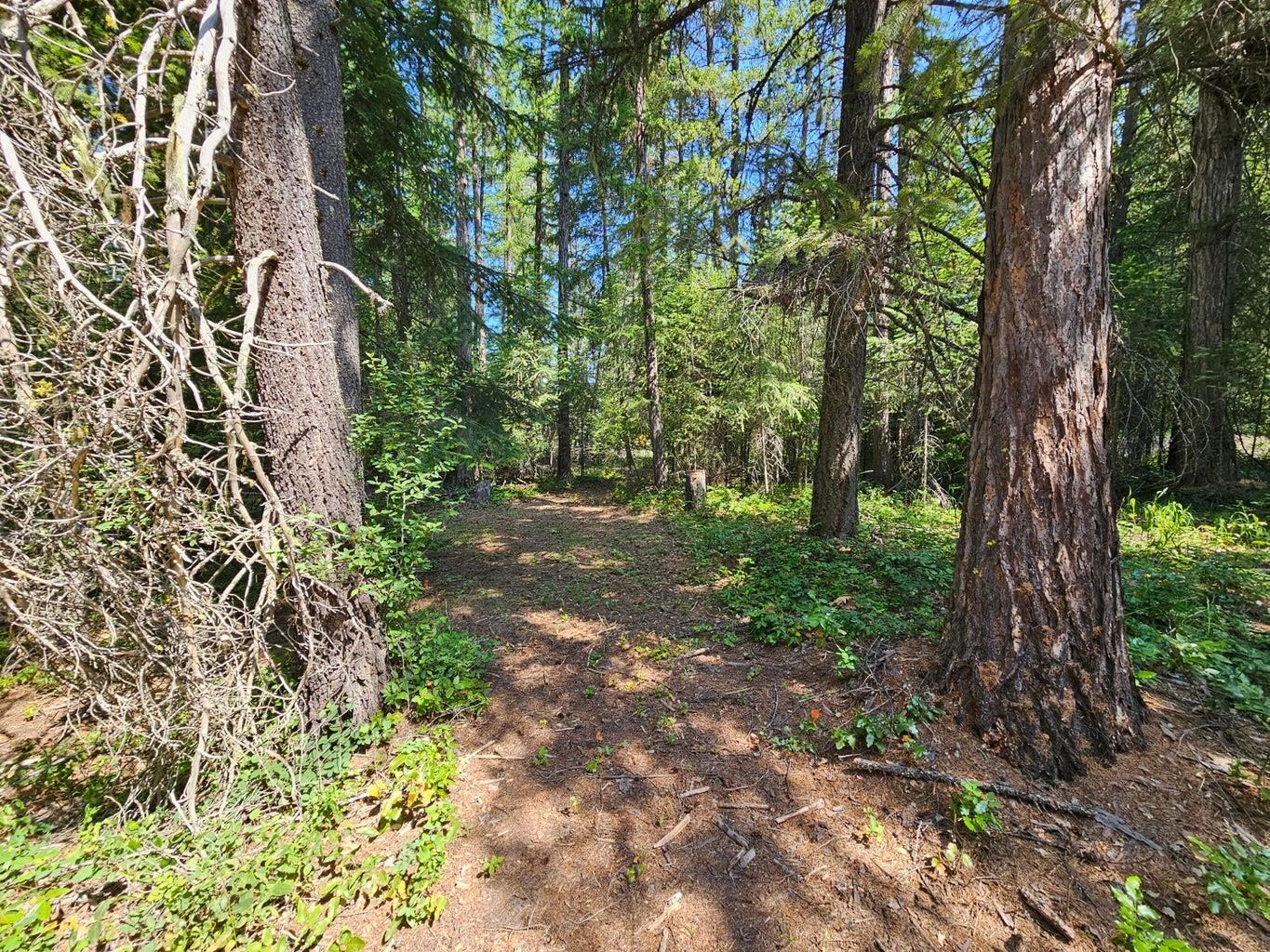 3185 Aladdin Rd - Photo 12