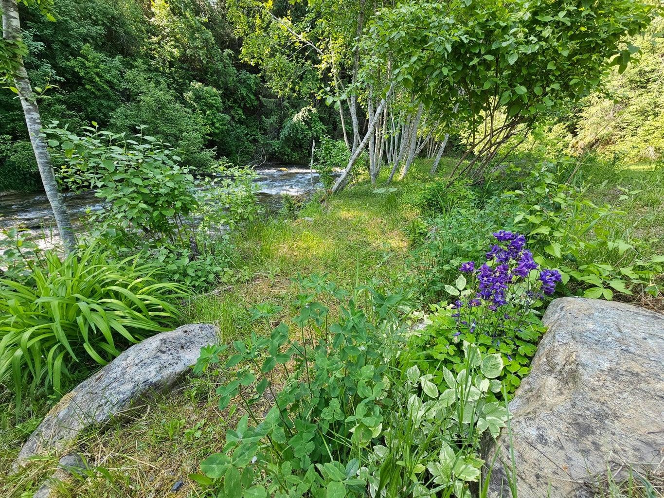 3185 Aladdin Rd - Photo 8