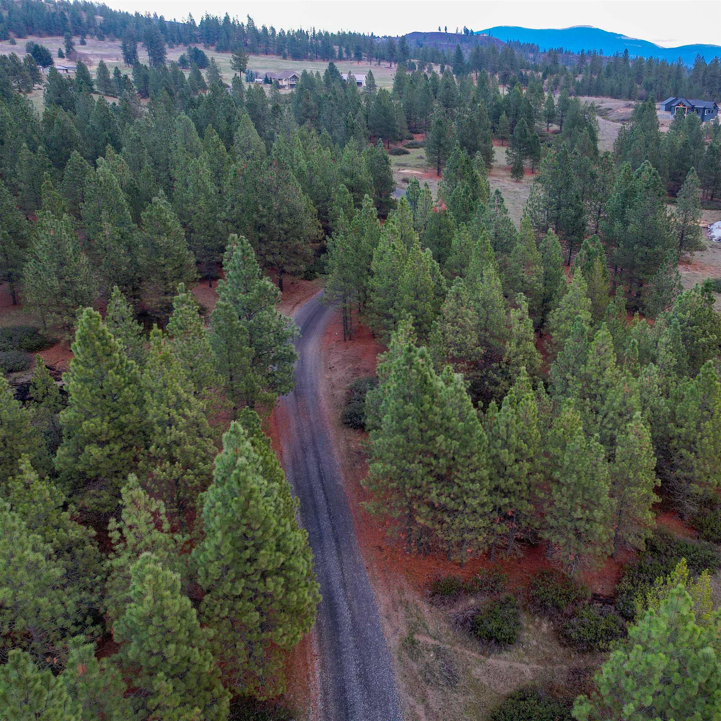 29020 N Hardesty Rd - Photo 38