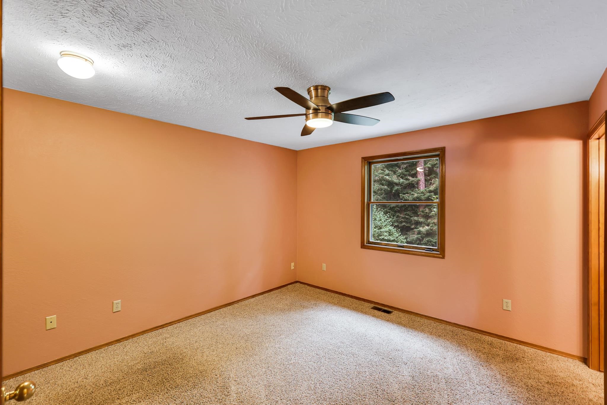 14517 N Chronicle St - Photo 20