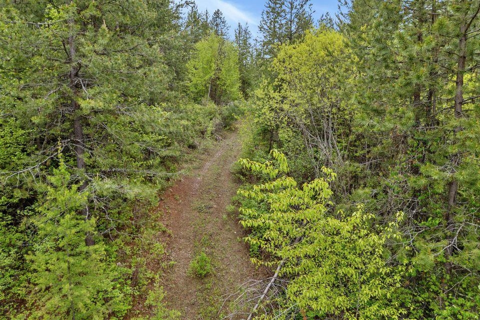 000 Hesseltine Lot 1 Rd - Photo 15
