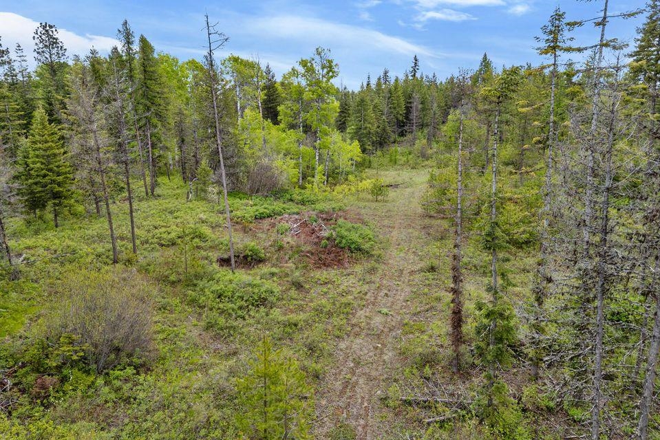 000 Hesseltine Lot 1 Rd - Photo 16