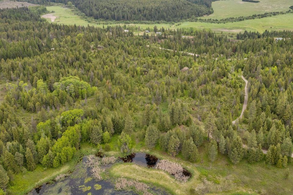 000 Hesseltine Lot 1 Rd - Photo 4