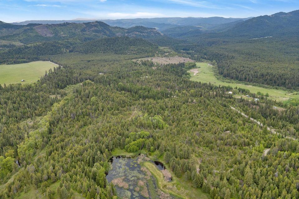 000 Hesseltine Lot 1 Rd - Photo 6