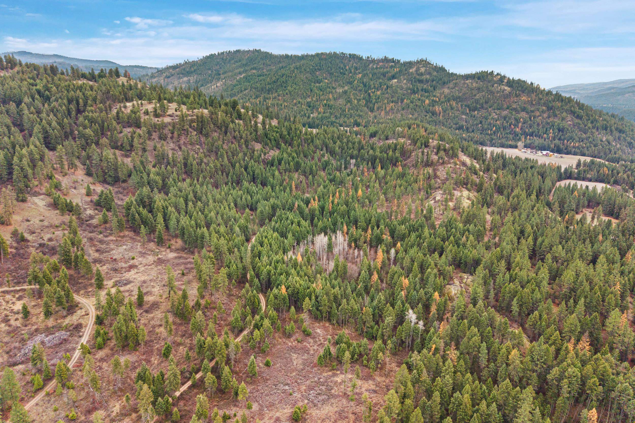 3XXX Rockcut Rd - Photo 12