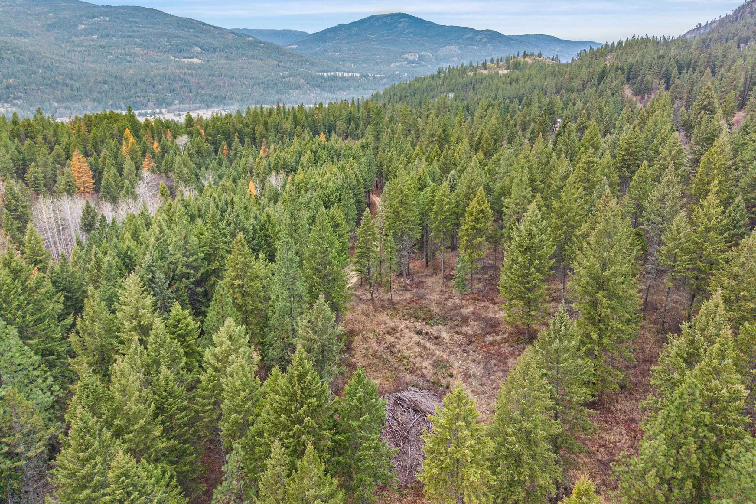 3XXX Rockcut Rd - Photo 13