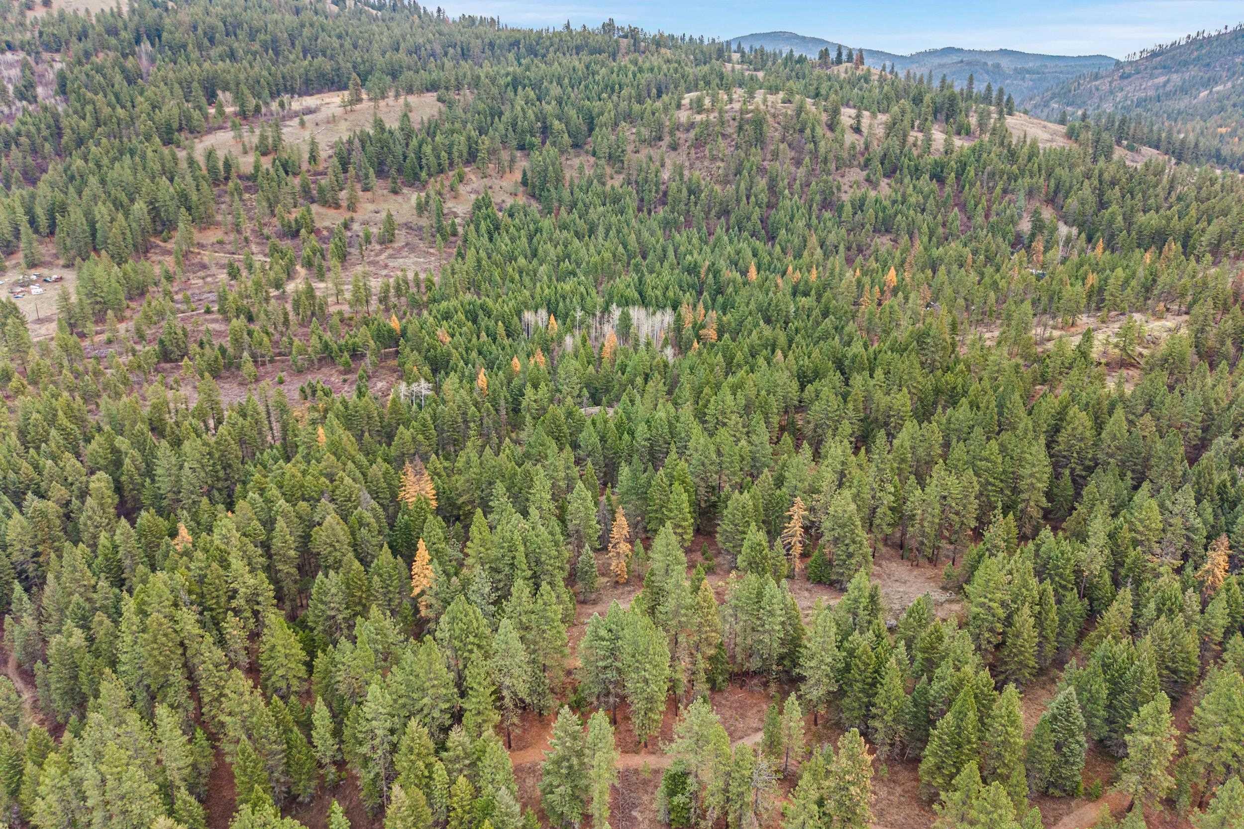 3XXX Rockcut Rd - Photo 14