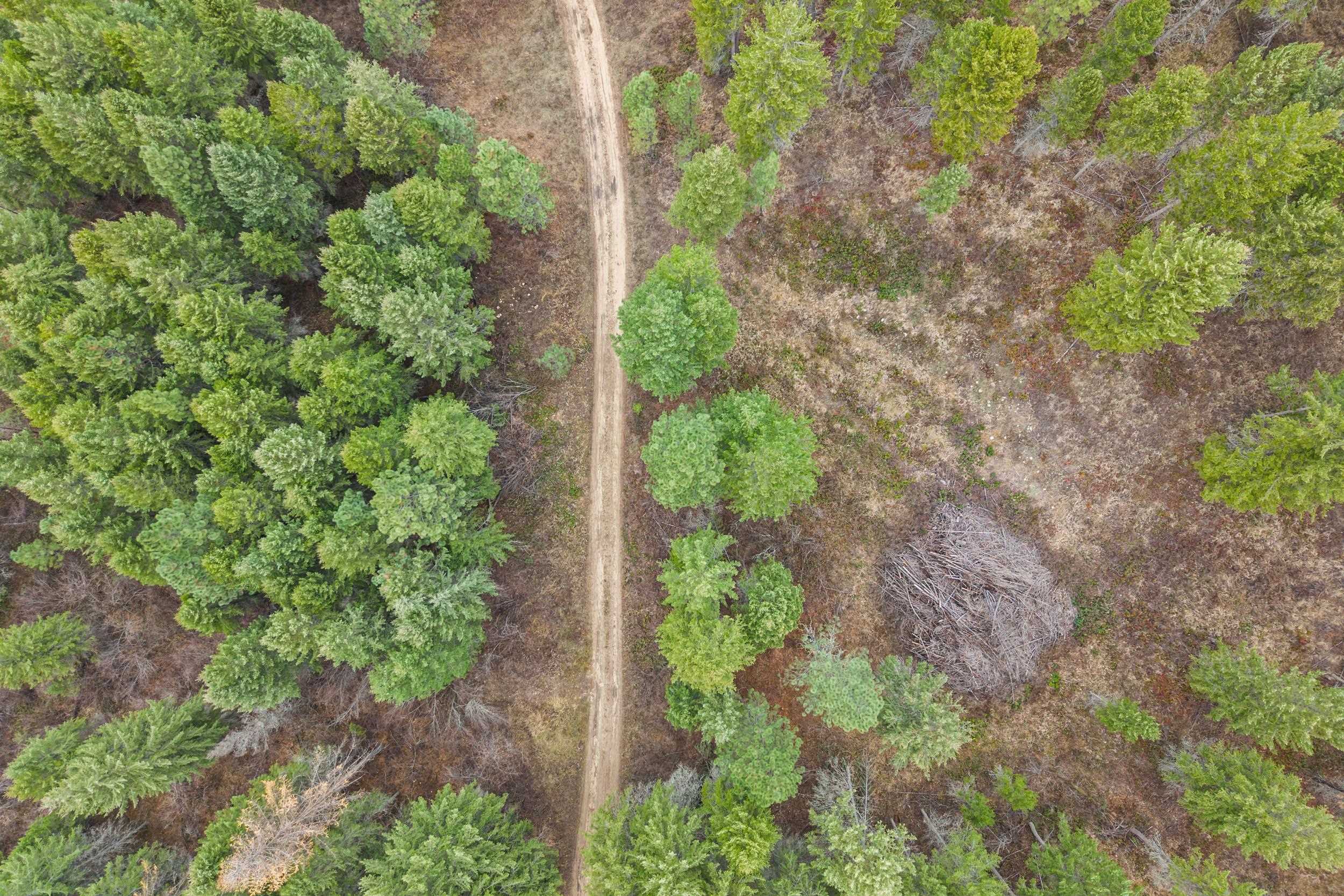 3XXX Rockcut Rd - Photo 16