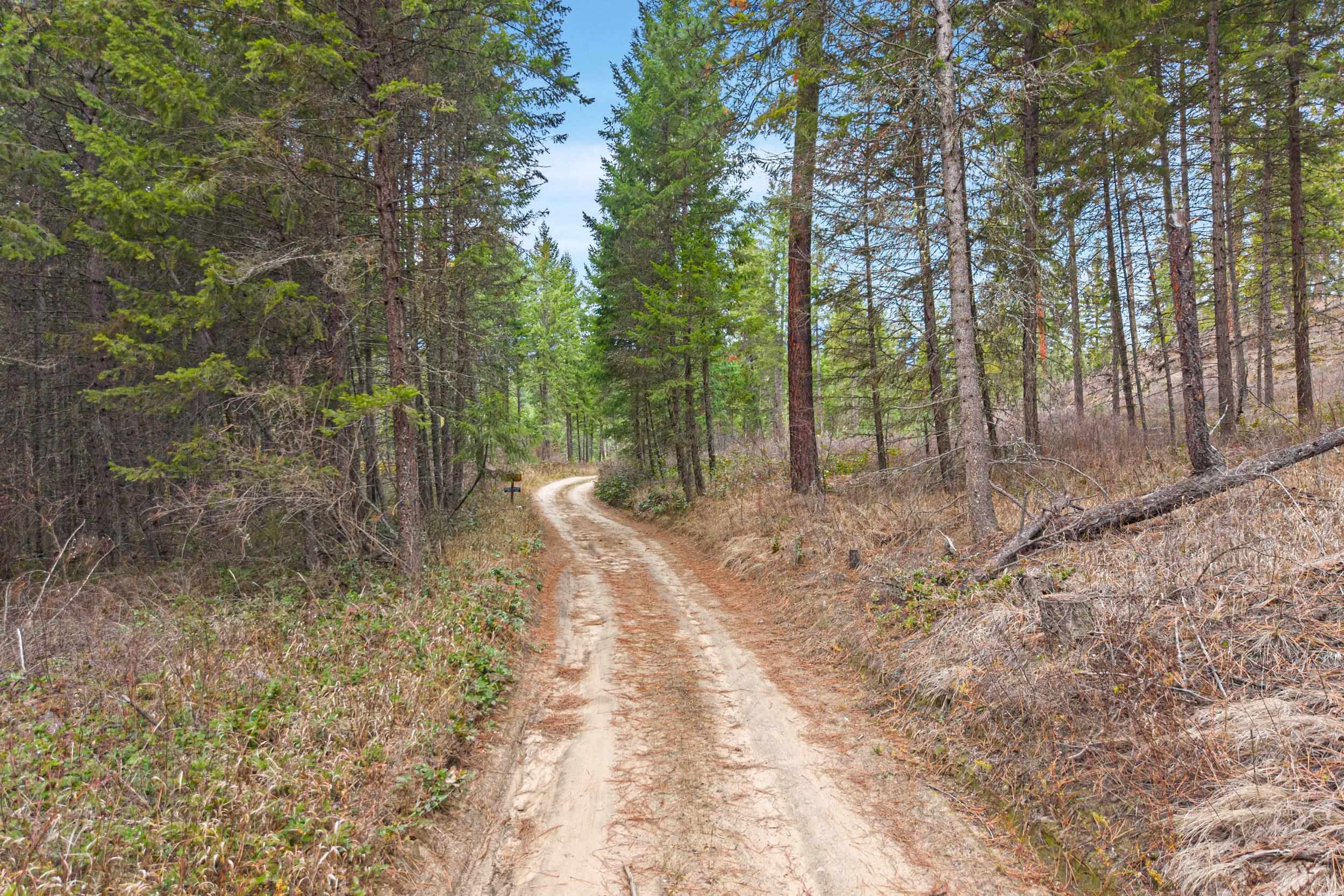 3XXX Rockcut Rd - Photo 17