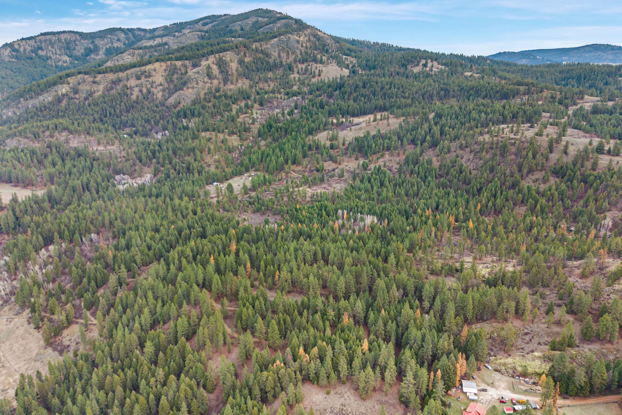 3XXX Rockcut Rd - Photo 19