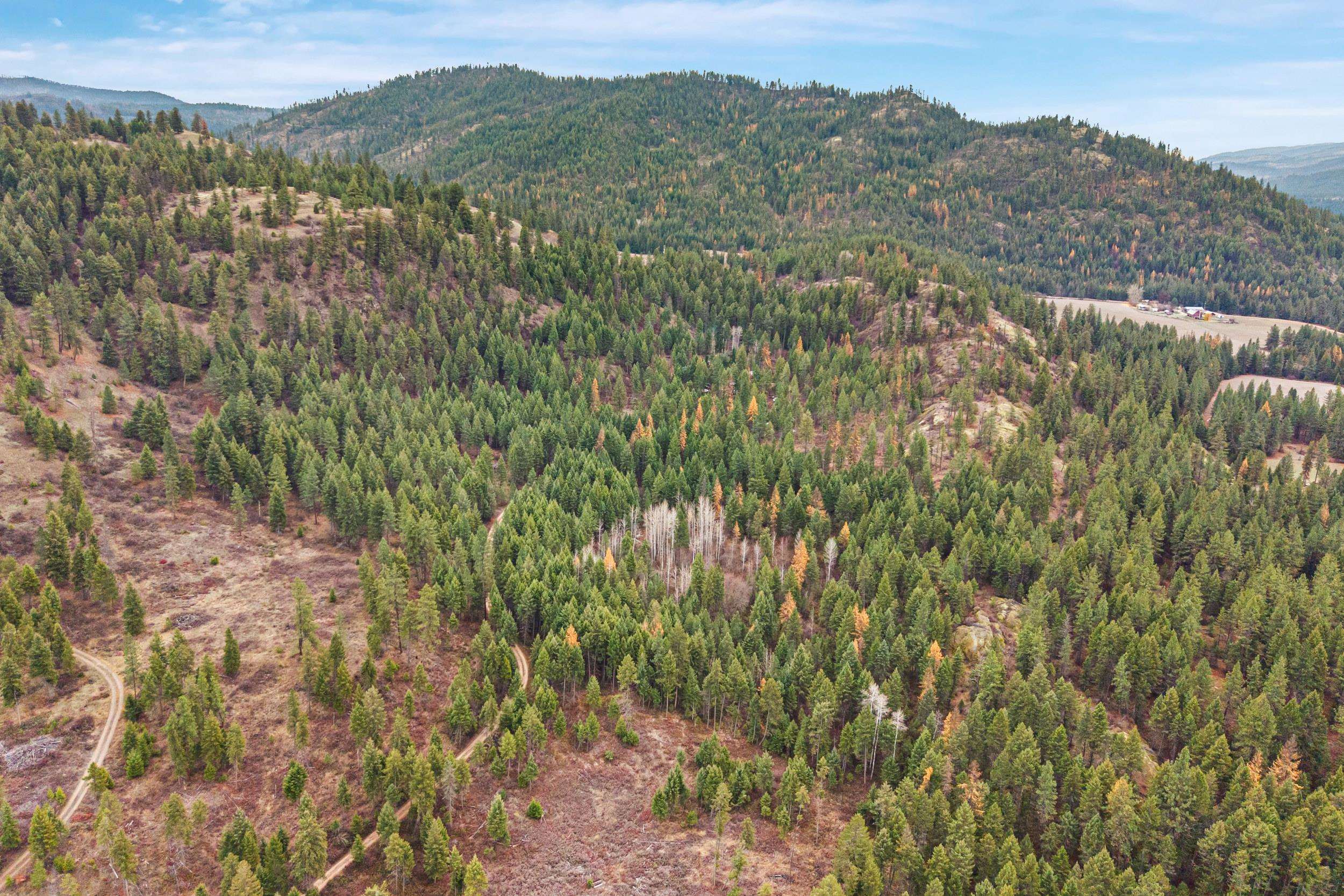 3XXX Rockcut Rd - Photo 3