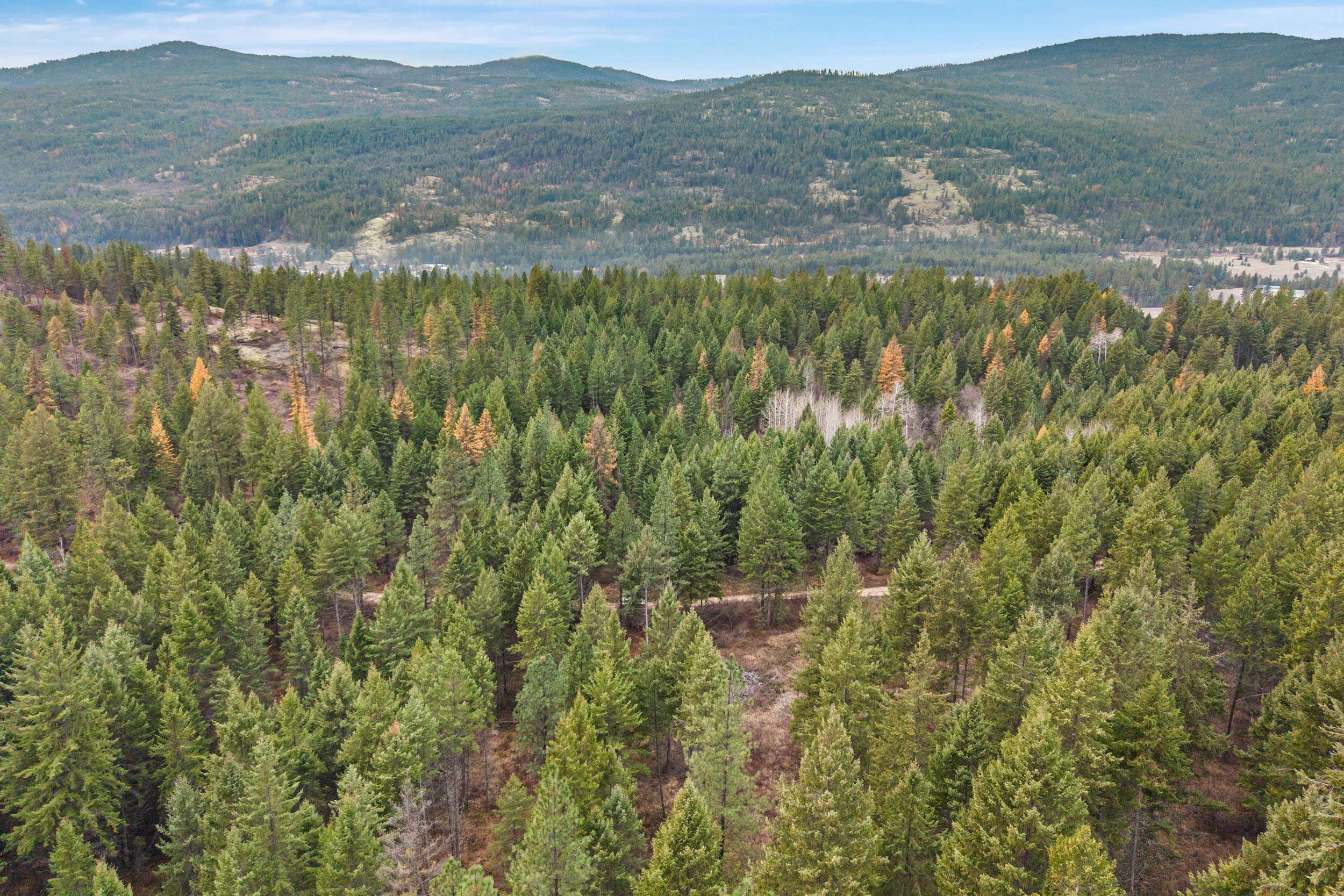 3XXX Rockcut Rd - Photo 4