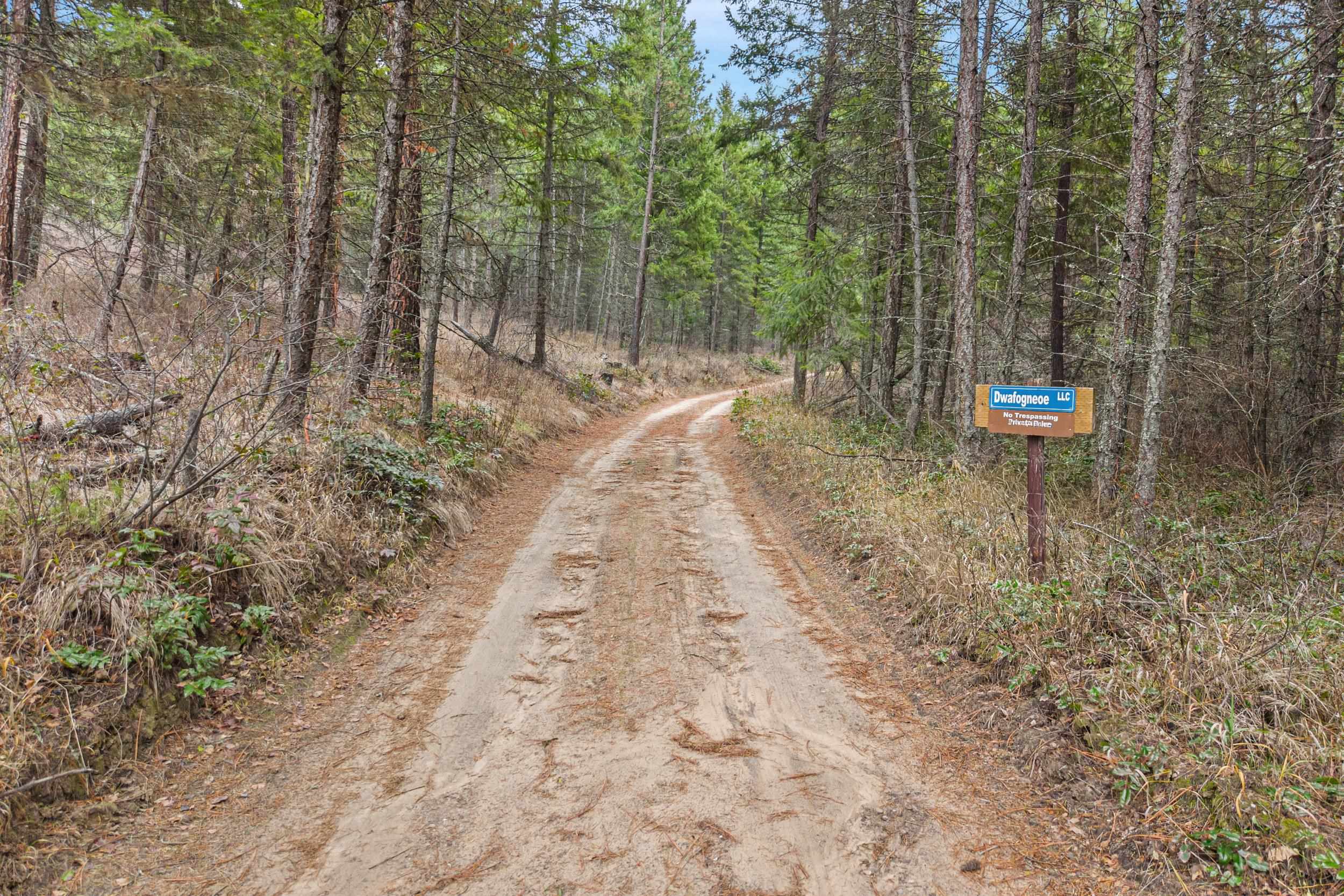 3XXX Rockcut Rd - Photo 5