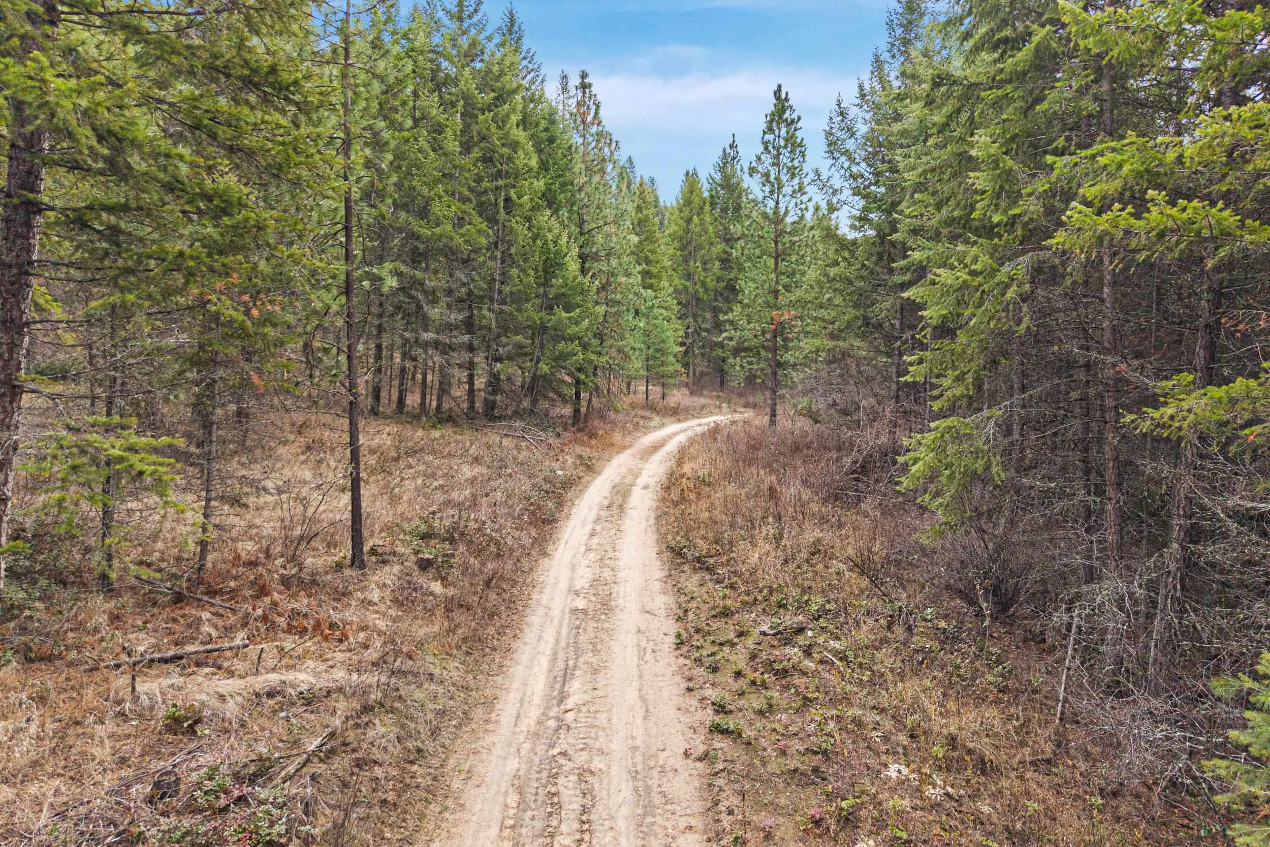3XXX Rockcut Rd - Photo 6