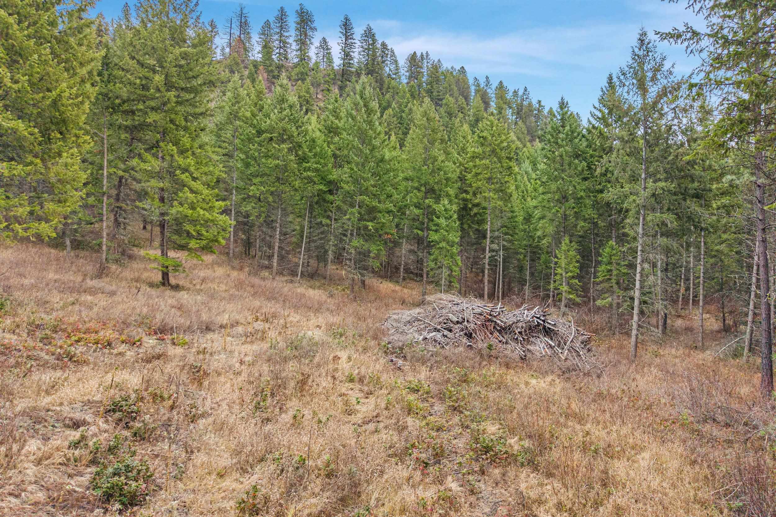 3XXX Rockcut Rd - Photo 8