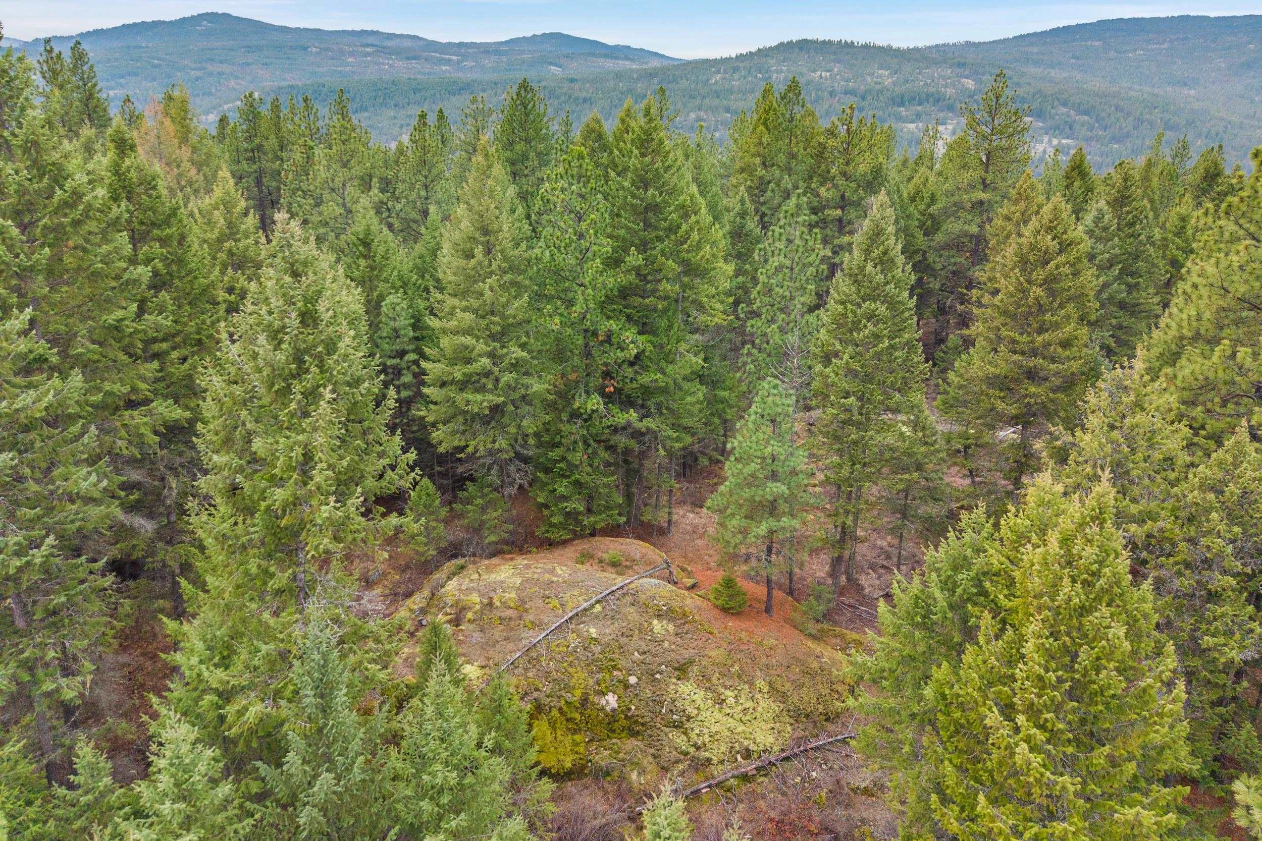 3XXX Rockcut Rd - Photo 9