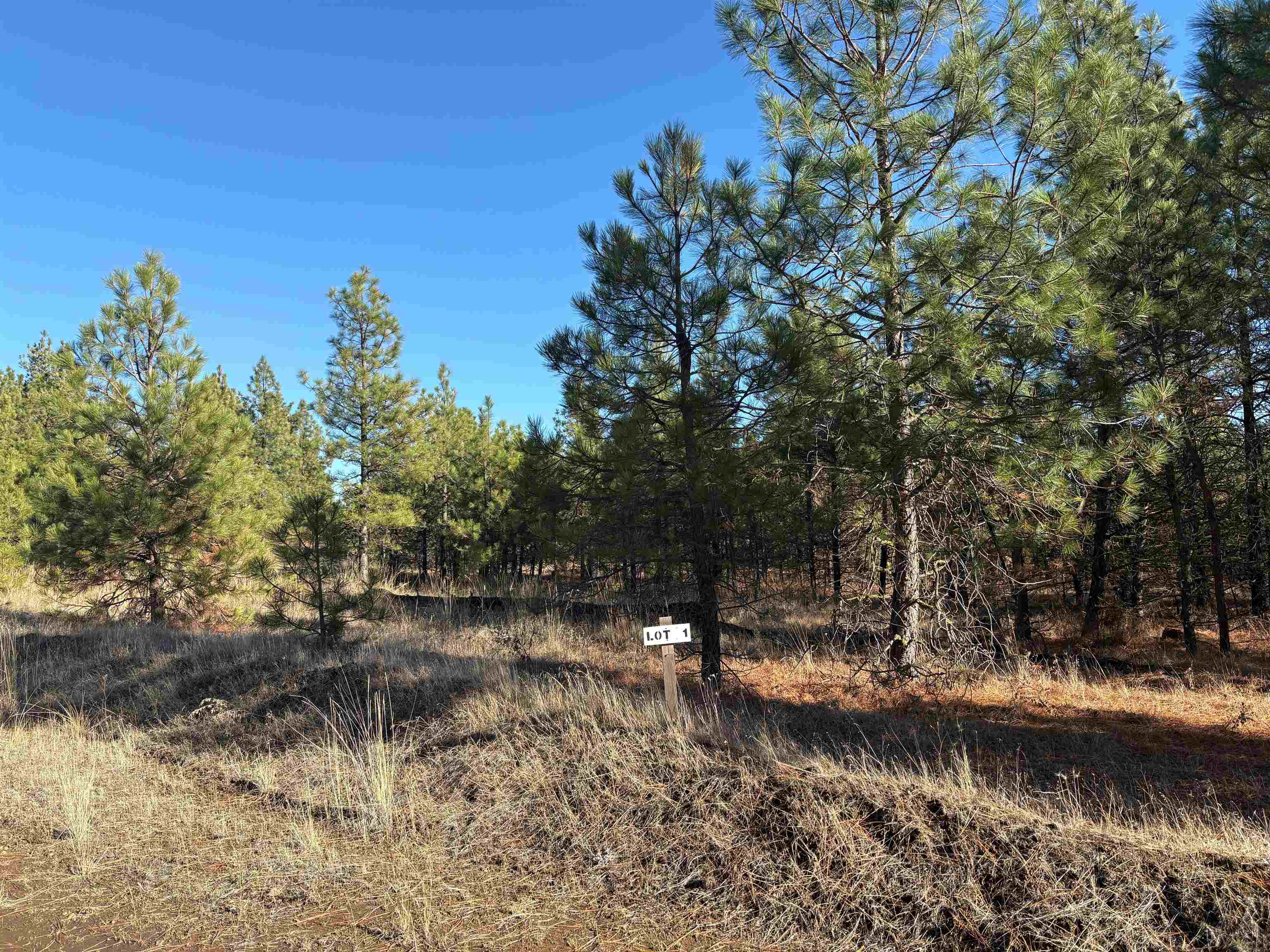 35470 N Prairie Ln - Photo 1