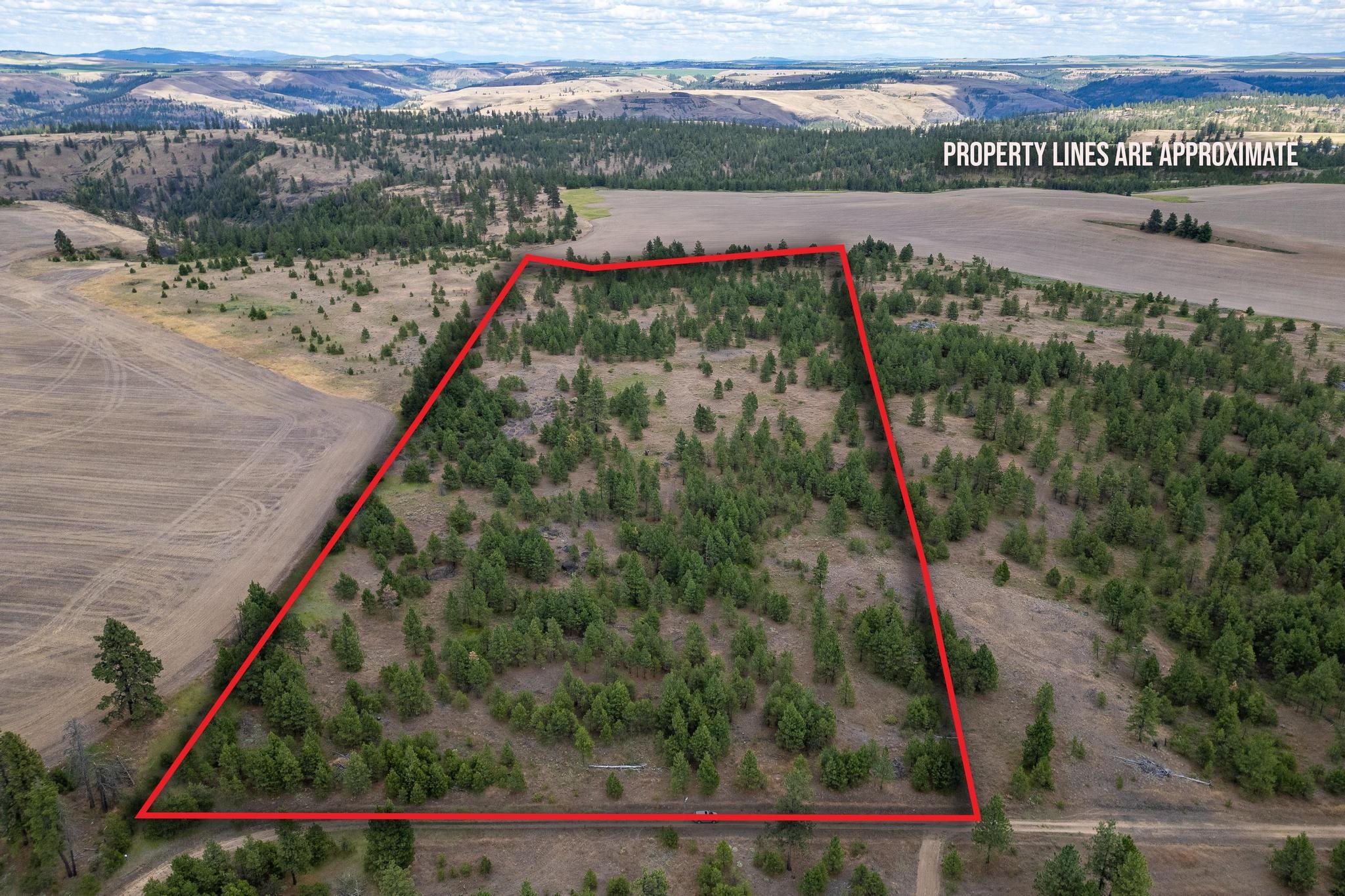 35470 N Prairie Ln - Photo 2