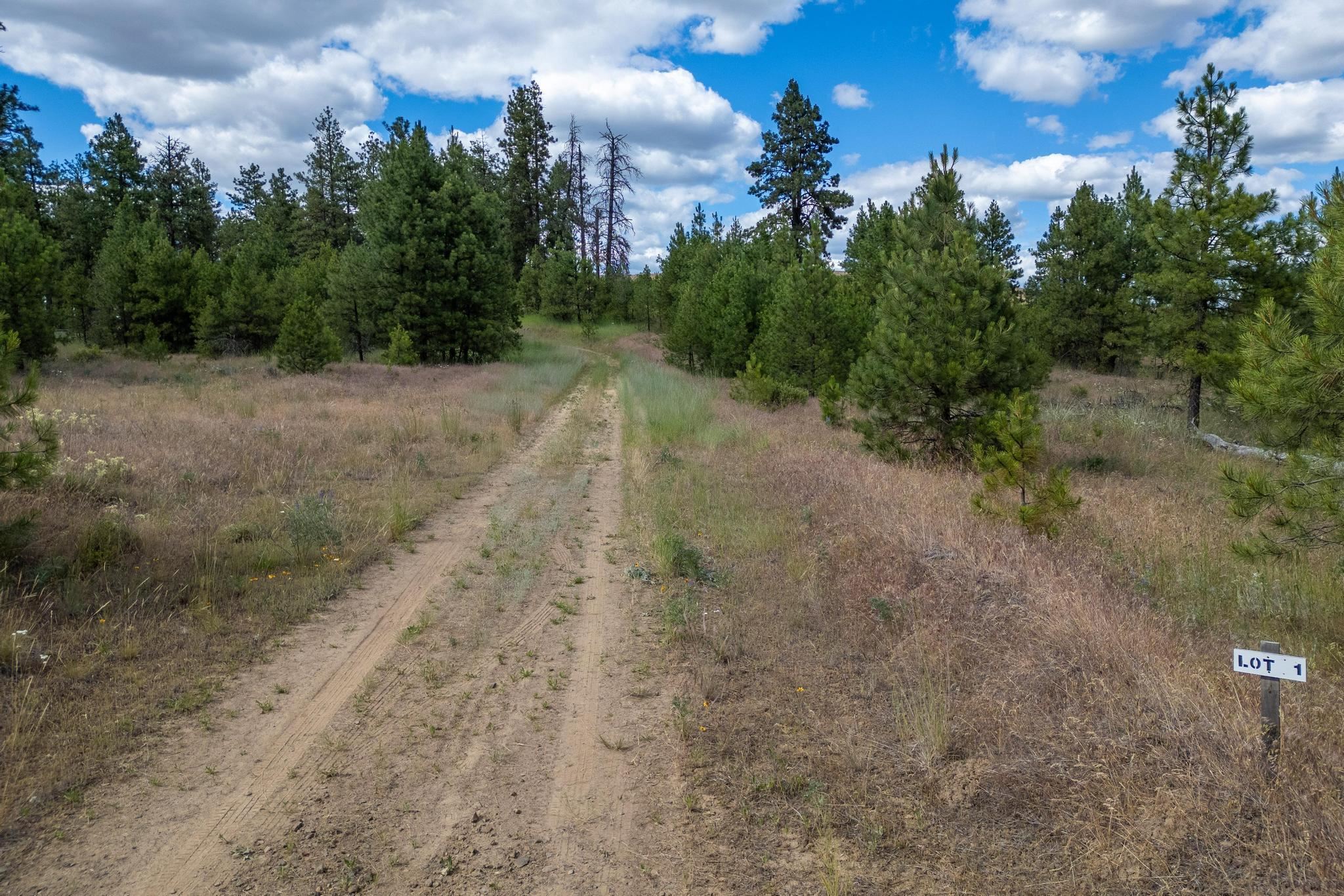 35470 N Prairie Ln - Photo 3