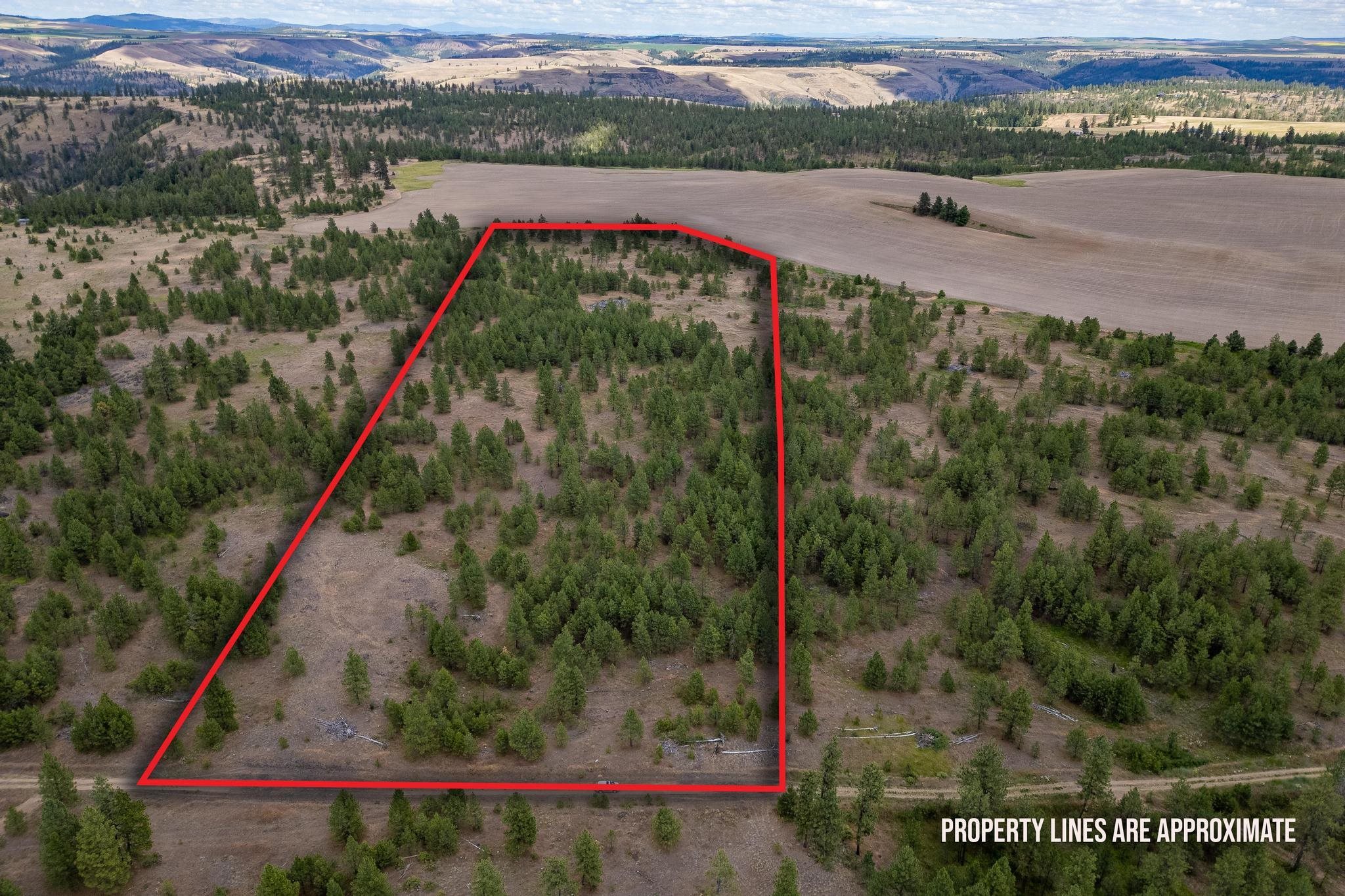 35450 N Prairie Ln - Photo 2