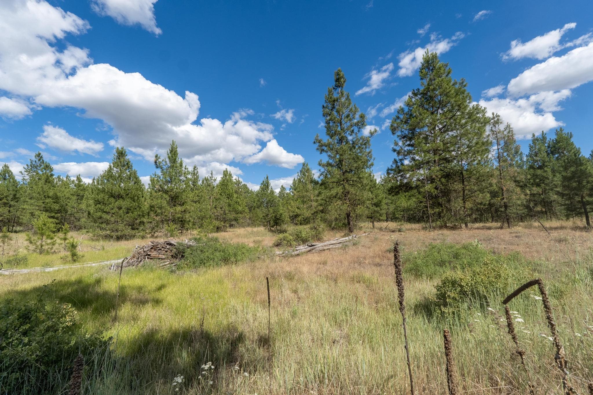 35450 N Prairie Ln - Photo 4