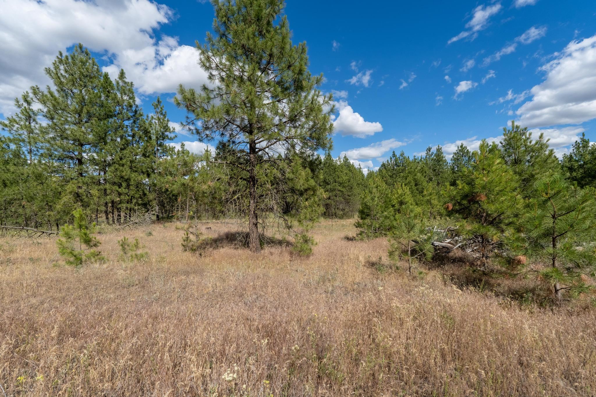 35450 N Prairie Ln - Photo 5