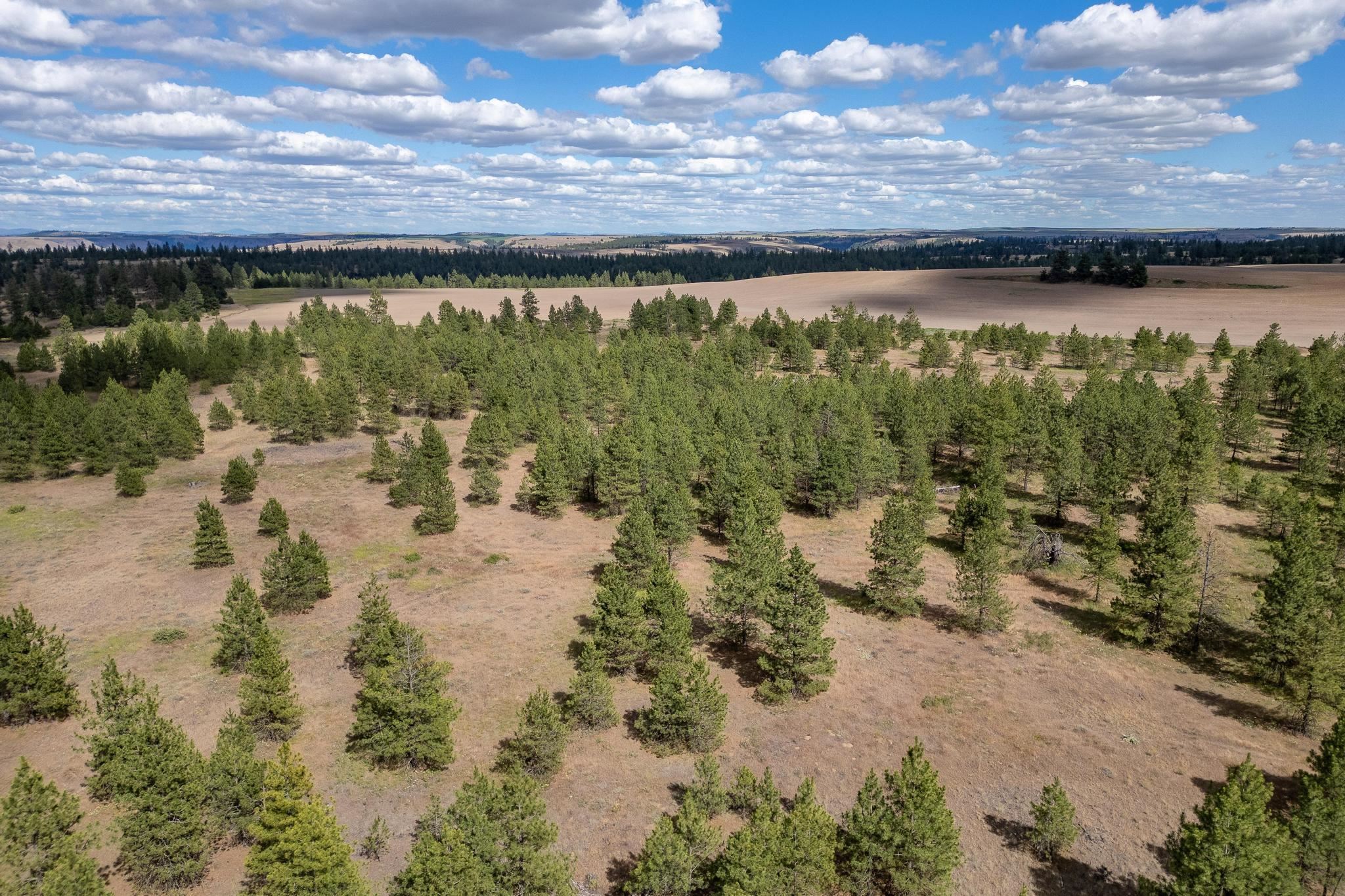 35450 N Prairie Ln - Photo 6