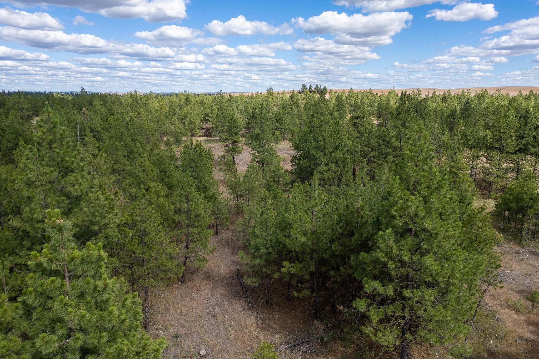 35430 N Prairie Ln - Photo 4