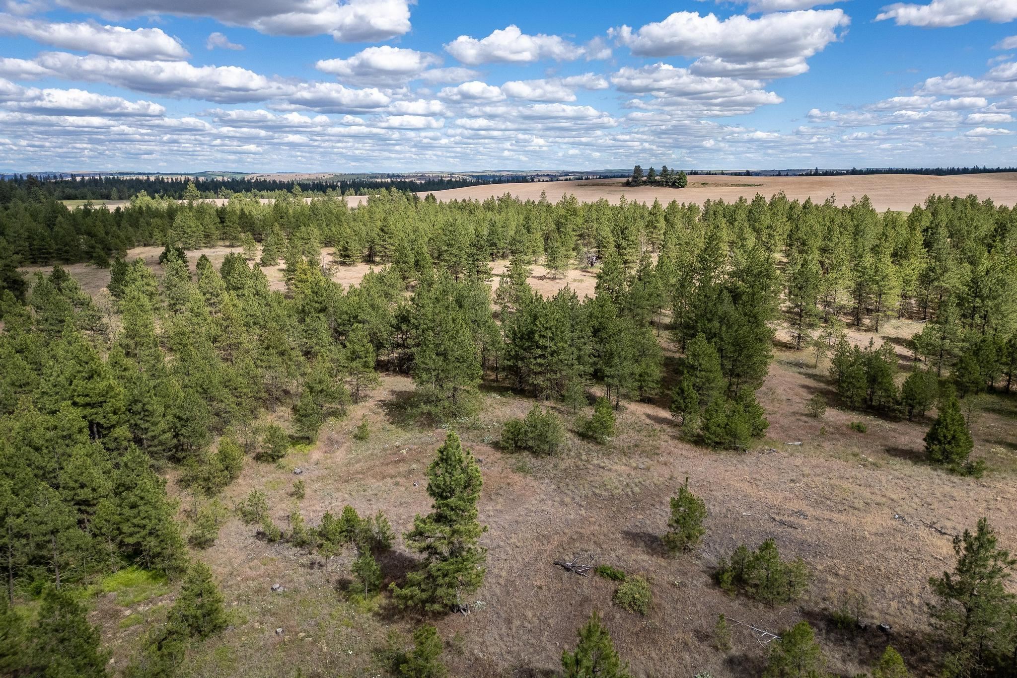 35430 N Prairie Ln - Photo 5