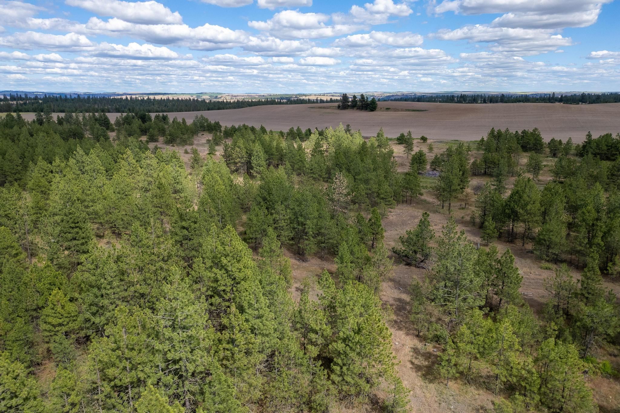 35430 N Prairie Ln - Photo 6