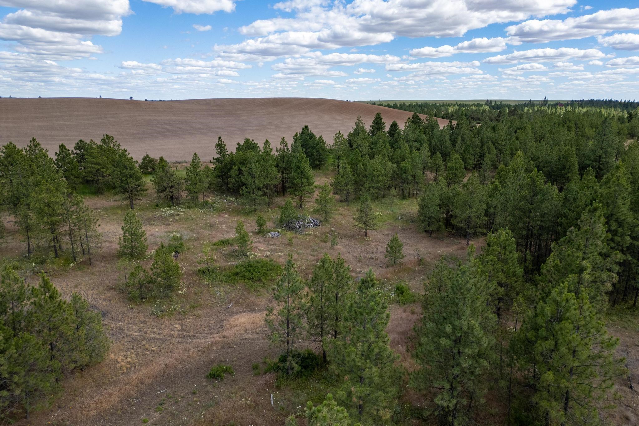 35430 N Prairie Ln - Photo 8