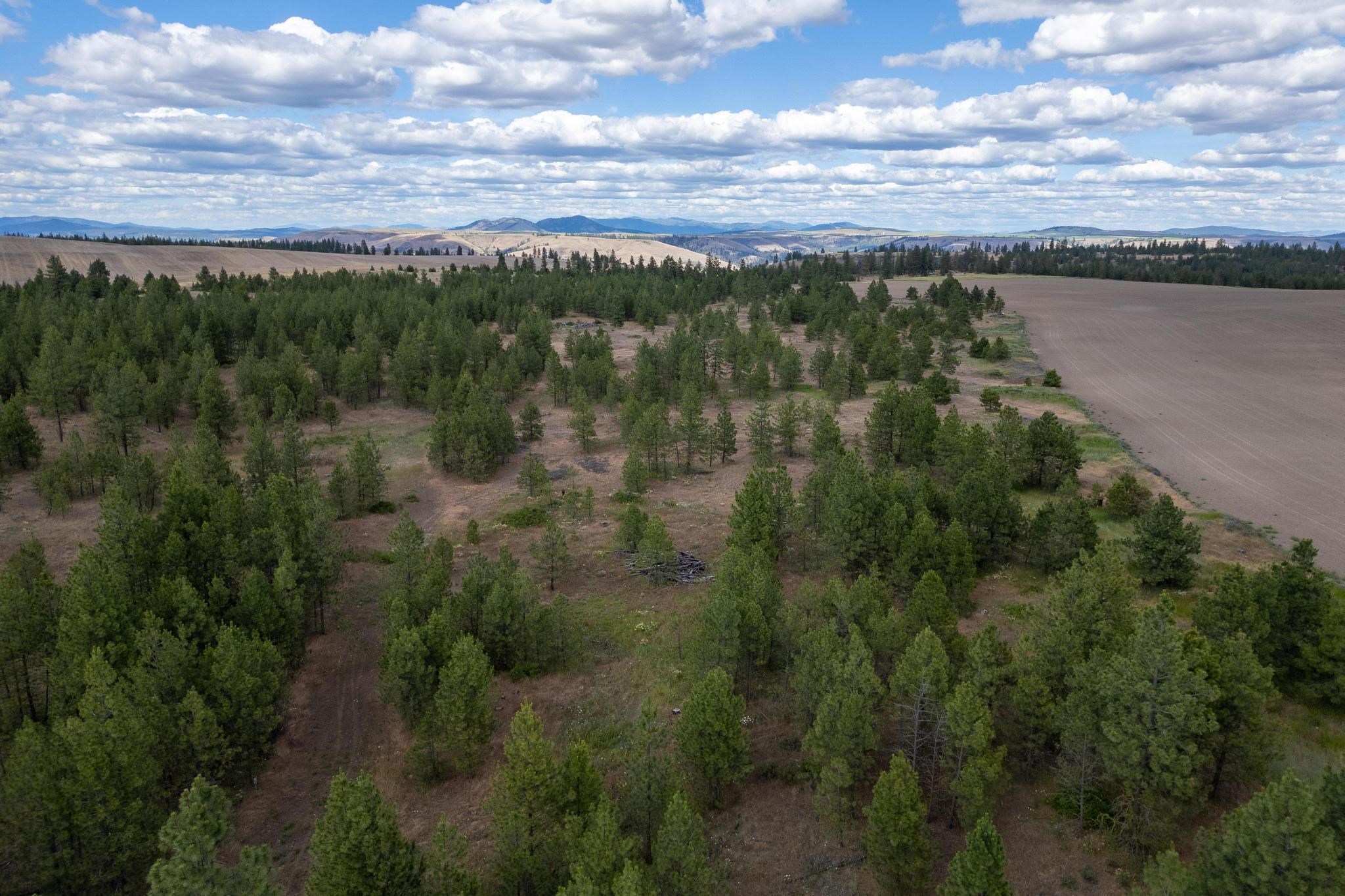 35430 N Prairie Ln - Photo 9