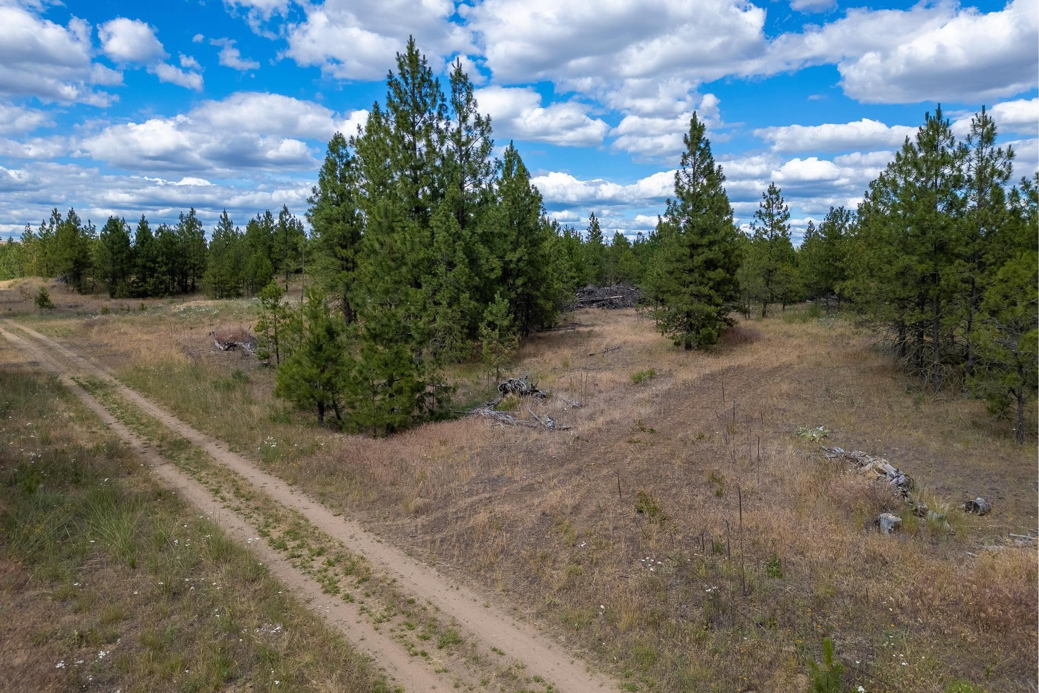 35410 N Prairie Ln - Photo 4