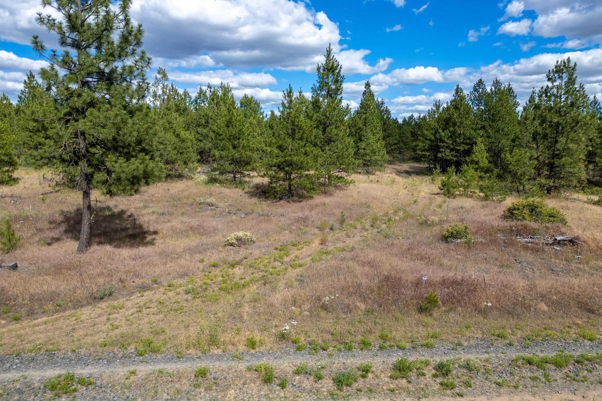 35410 N Prairie Ln - Photo 5