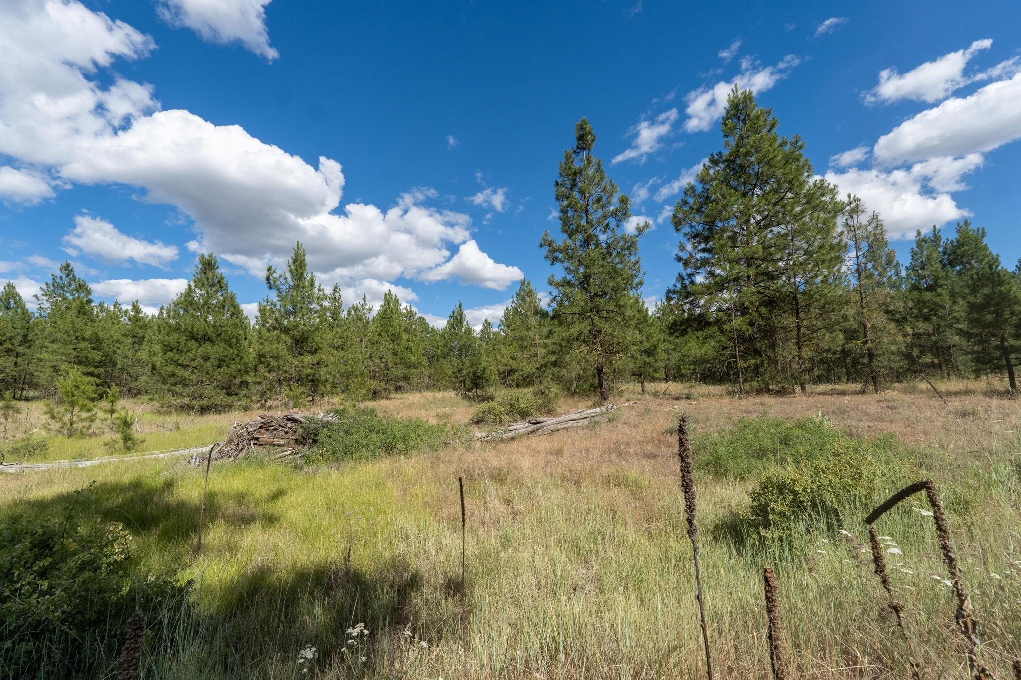 35410 N Prairie Ln - Photo 6