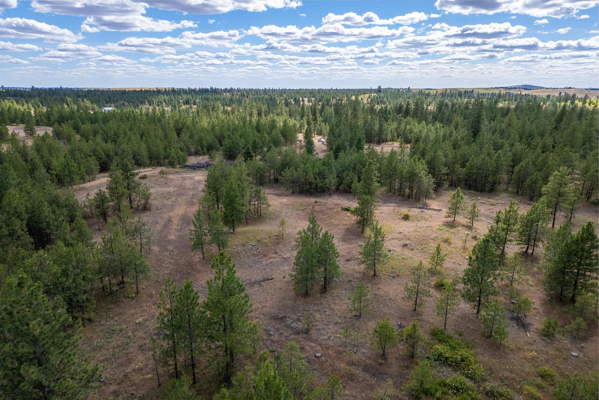 35410 N Prairie Ln - Photo 8