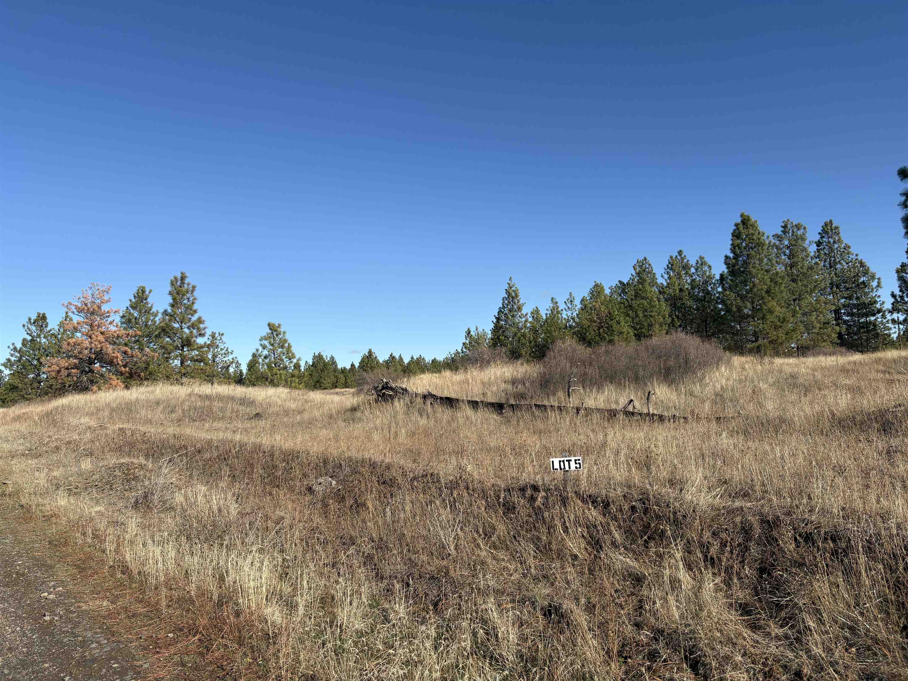 35390 N Prairie Ln - Photo 1