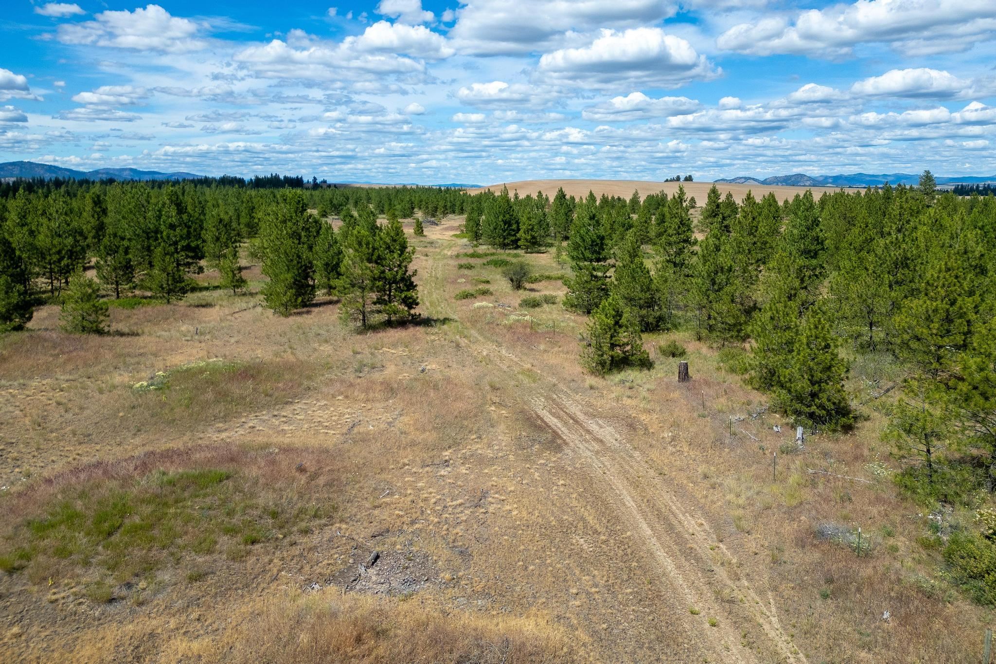 35390 N Prairie Ln - Photo 5