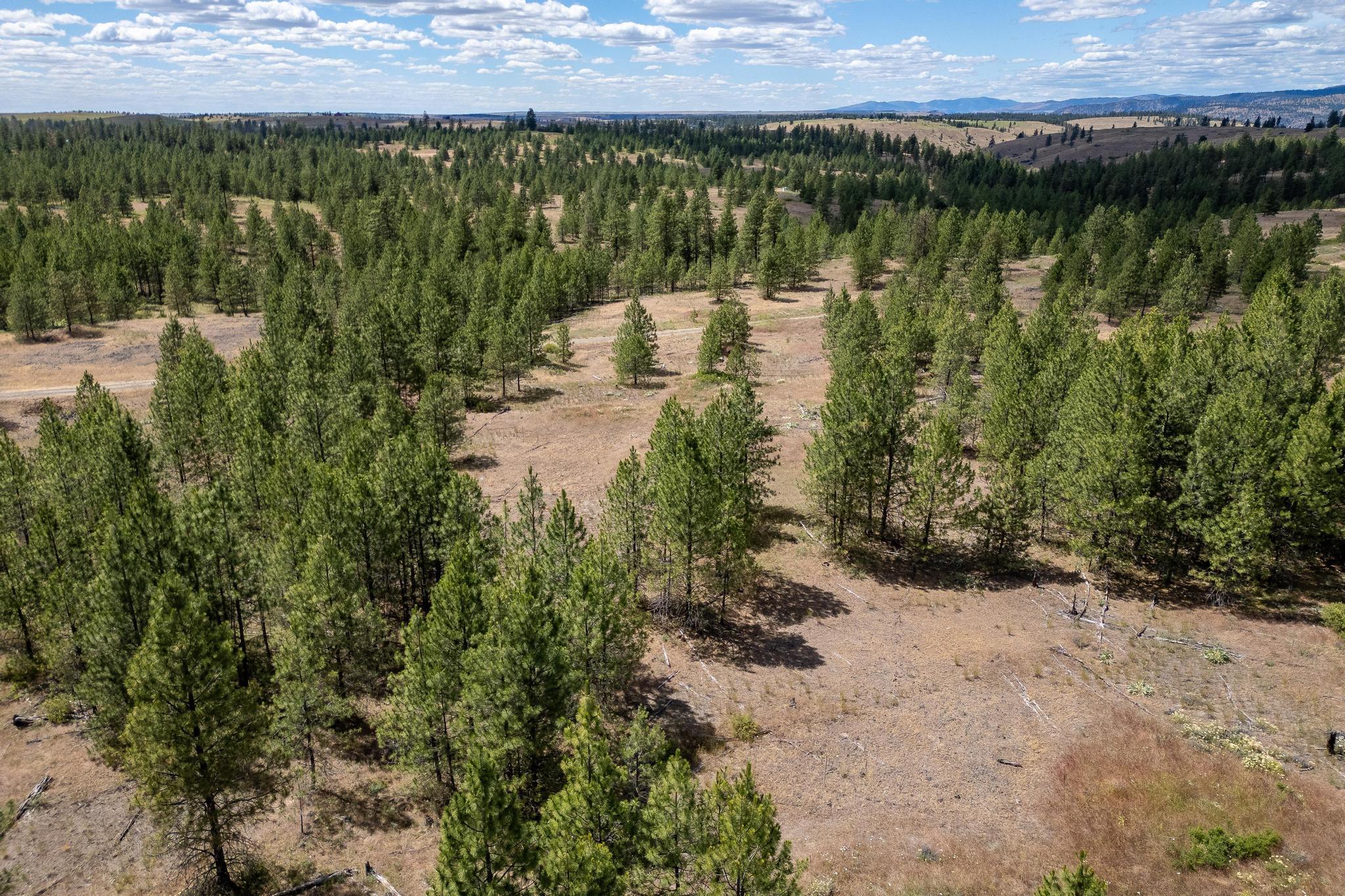 35390 N Prairie Ln - Photo 6