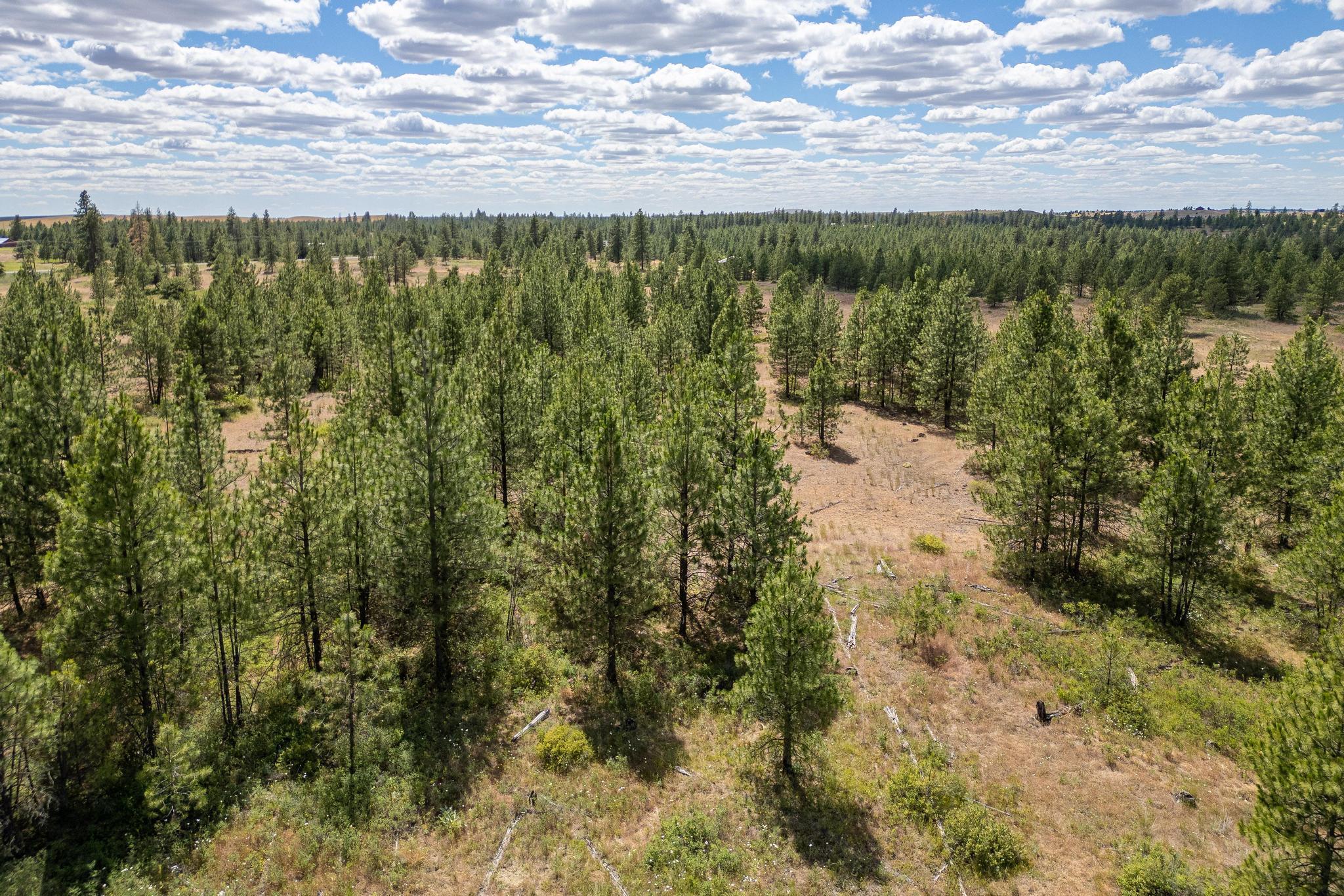 35390 N Prairie Ln - Photo 7